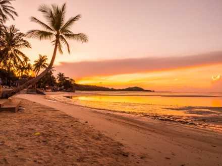How AI Helps You Find Better Flight Deals in the USA