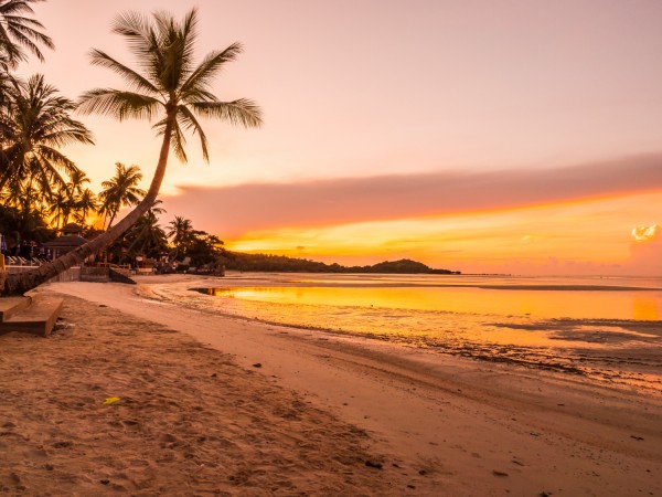 How AI Helps You Find Better Flight Deals in the USA